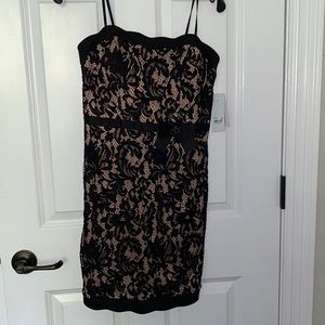 Black Lace Dress With Nude Lining